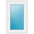 Fenster 65x100 cm Weiß