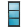 Nebeneingangstür 100x200 cm Anthrazit genarbt 3-teilig Glas