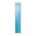 Festverglasung 50x211 cm Weiß
