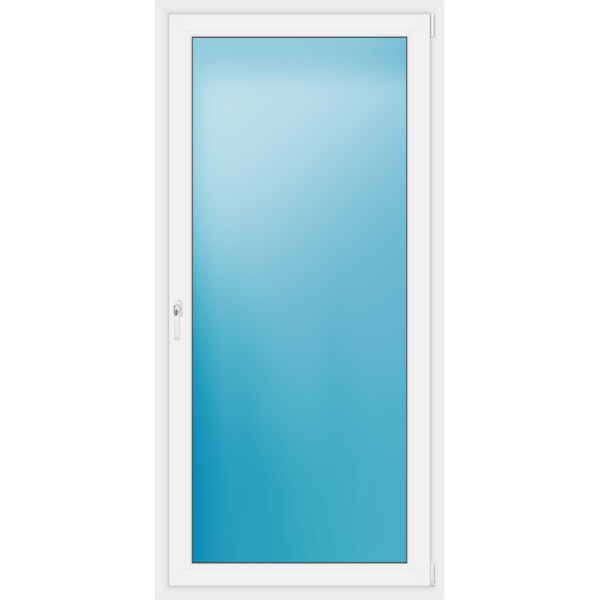 Einflügelige Balkontür 100 x 208 cm Farbe Weiß