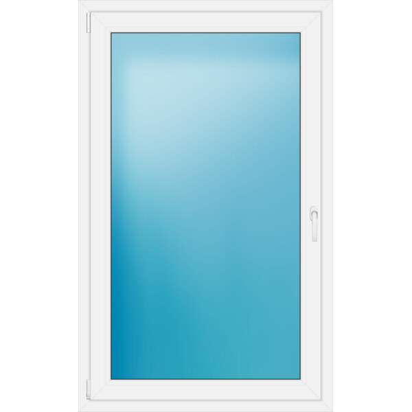 Einflügeliges Fenster 100 x 162 cm Farbe Weiß