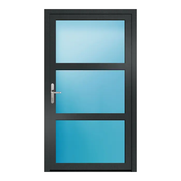 Nebeneingangstür 110x193,5 cm 3-teilig Glas Anthrazit genarbt