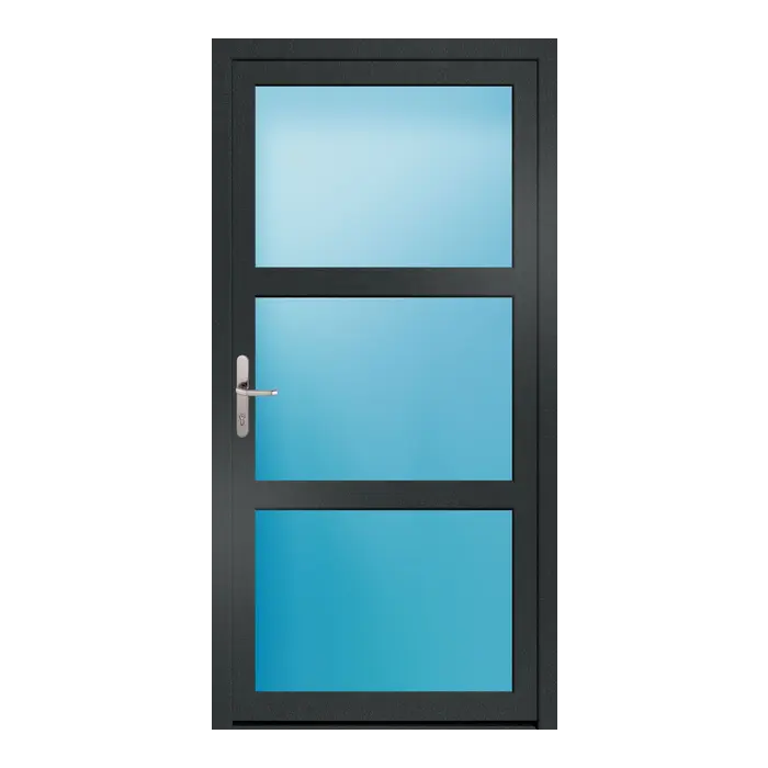 Nebeneingangstür 100x200 cm 3-teilig Glas Anthrazit genarbt