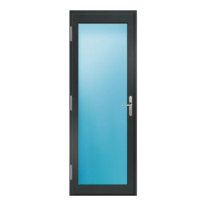Nebeneingangstür 80x220 cm Vollglas Anthrazit genarbt