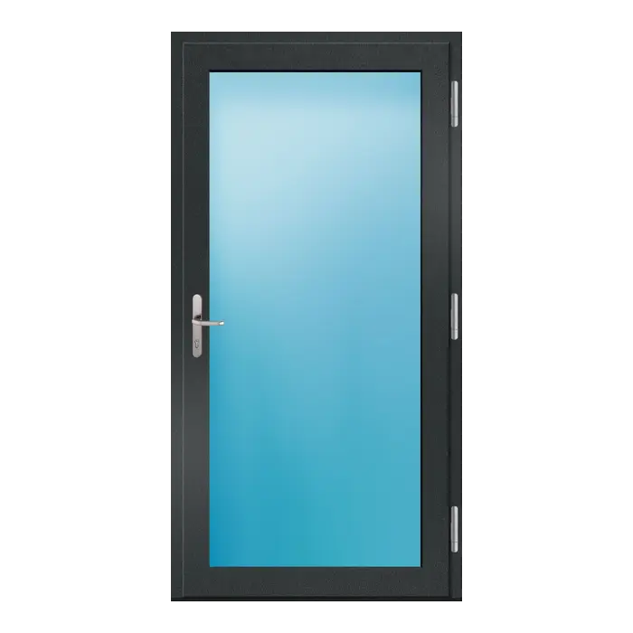 Nebeneingangstür 110x215 cm Vollglas Anthrazit genarbt