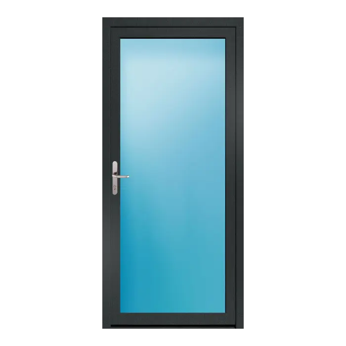 Nebeneingangstür 100x220 cm Vollglas Anthrazit genarbt