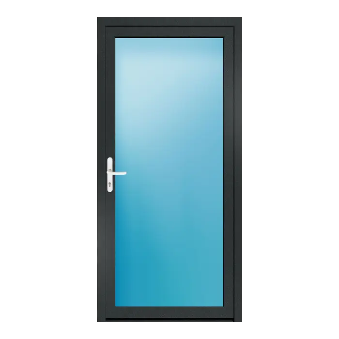 Nebeneingangstür 100x210 cm Vollglas Anthrazitgrau genarbt