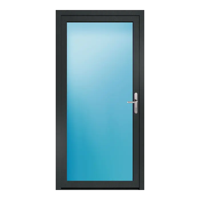 Nebeneingangstür 101x205 cm Vollglas Anthrazit genarbt
