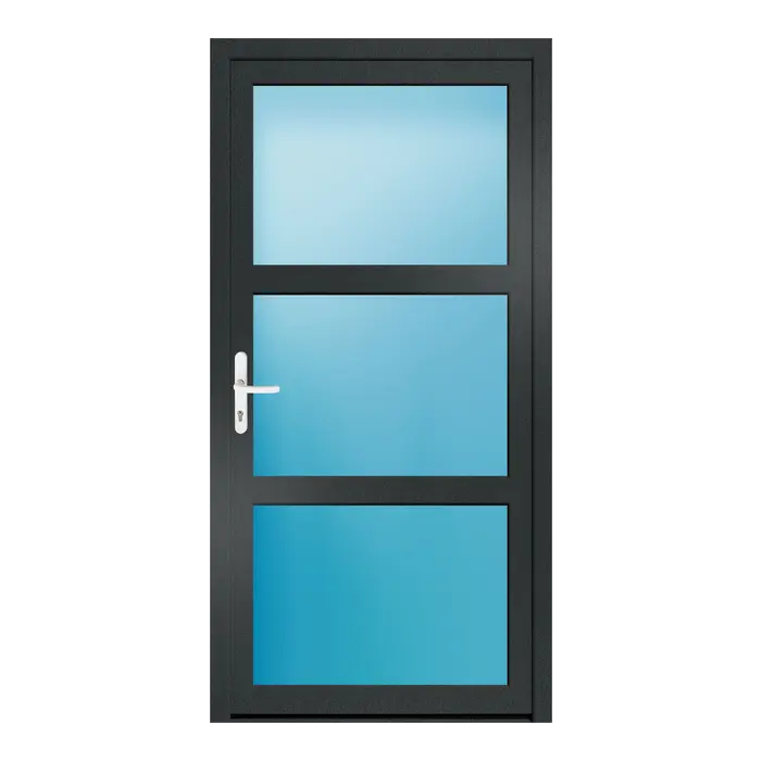 Nebeneingangstür 100x200 cm 3-teilig Glas Anthrazitgrau genarbt
