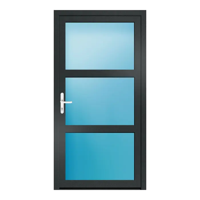 Nebeneingangstür 106x206 cm 3-teilig Glas Anthrazitgrau genarbt