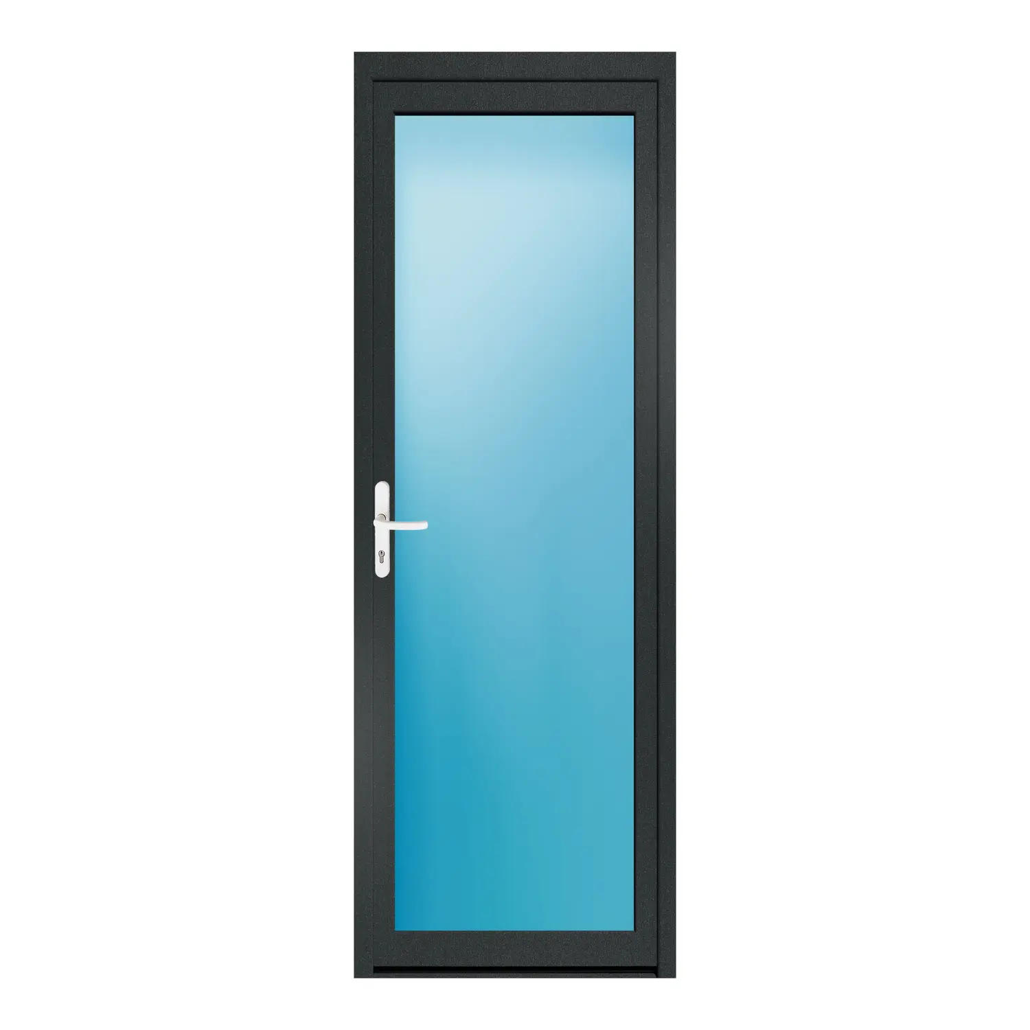 Nebeneingangstür 80x230 cm Anthrazitgrau genarbt Vollglas