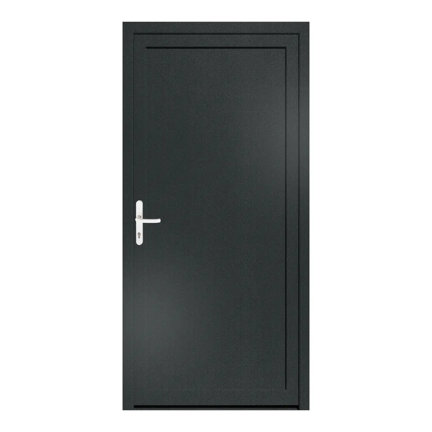Nebeneingangstür 100x208 cm Anthrazitgrau genarbt MSVP