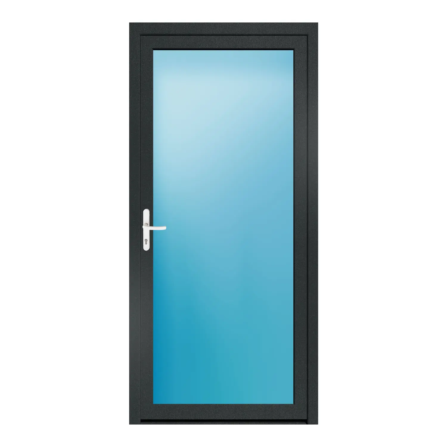 Nebeneingangstür 108x230 cm Anthrazitgrau genarbt Vollglas