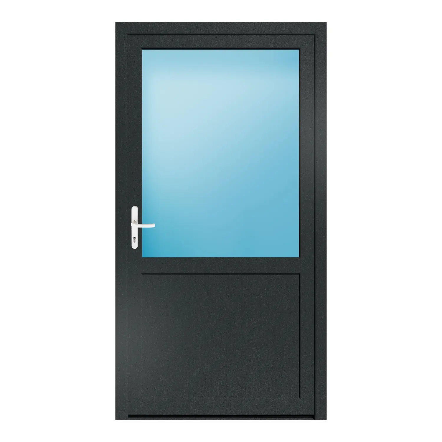 Nebeneingangstür 118x222 cm Anthrazitgrau genarbt 2/3 Glas