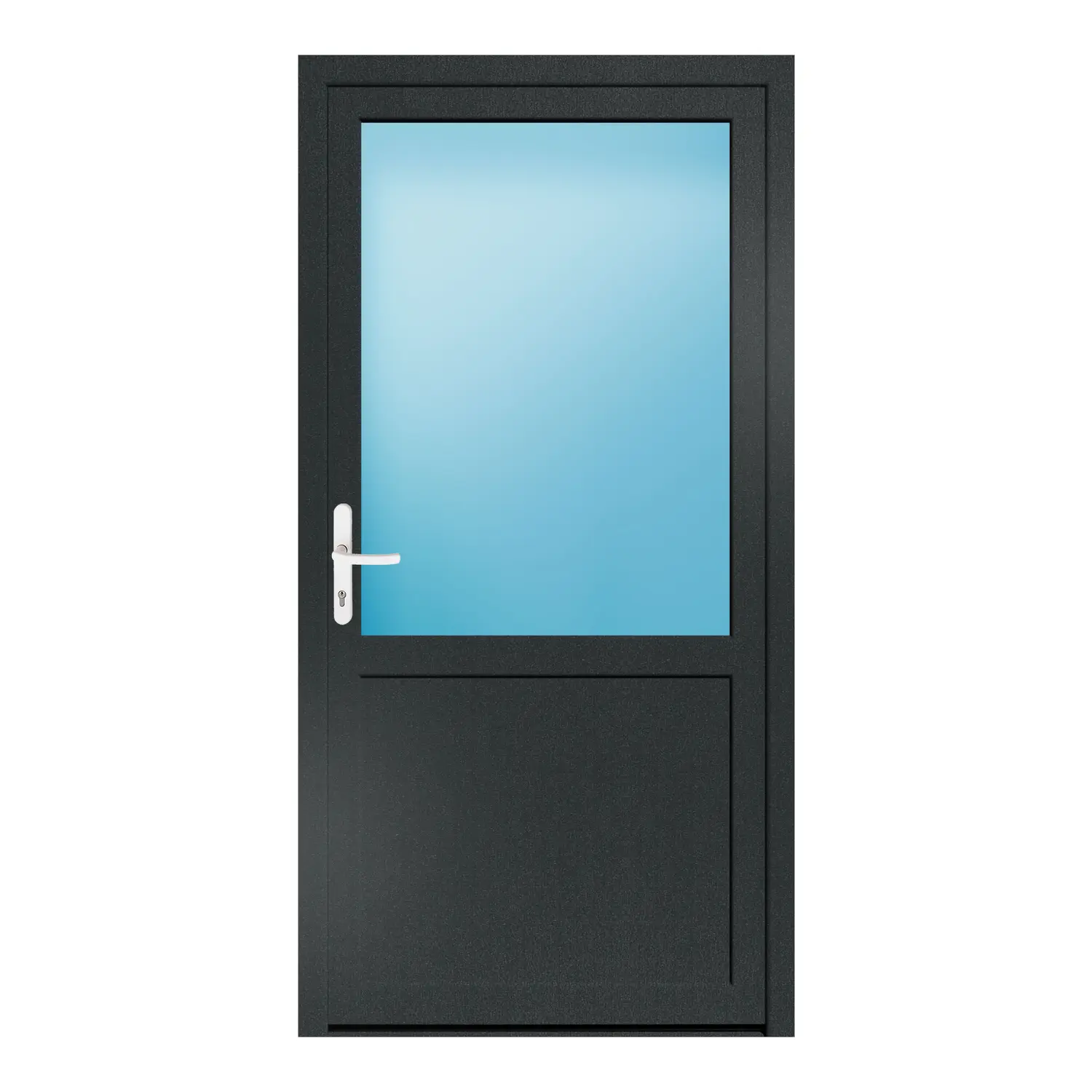 Nebeneingangstür 98x194 cm Anthrazitgrau genarbt 2/3 Glas