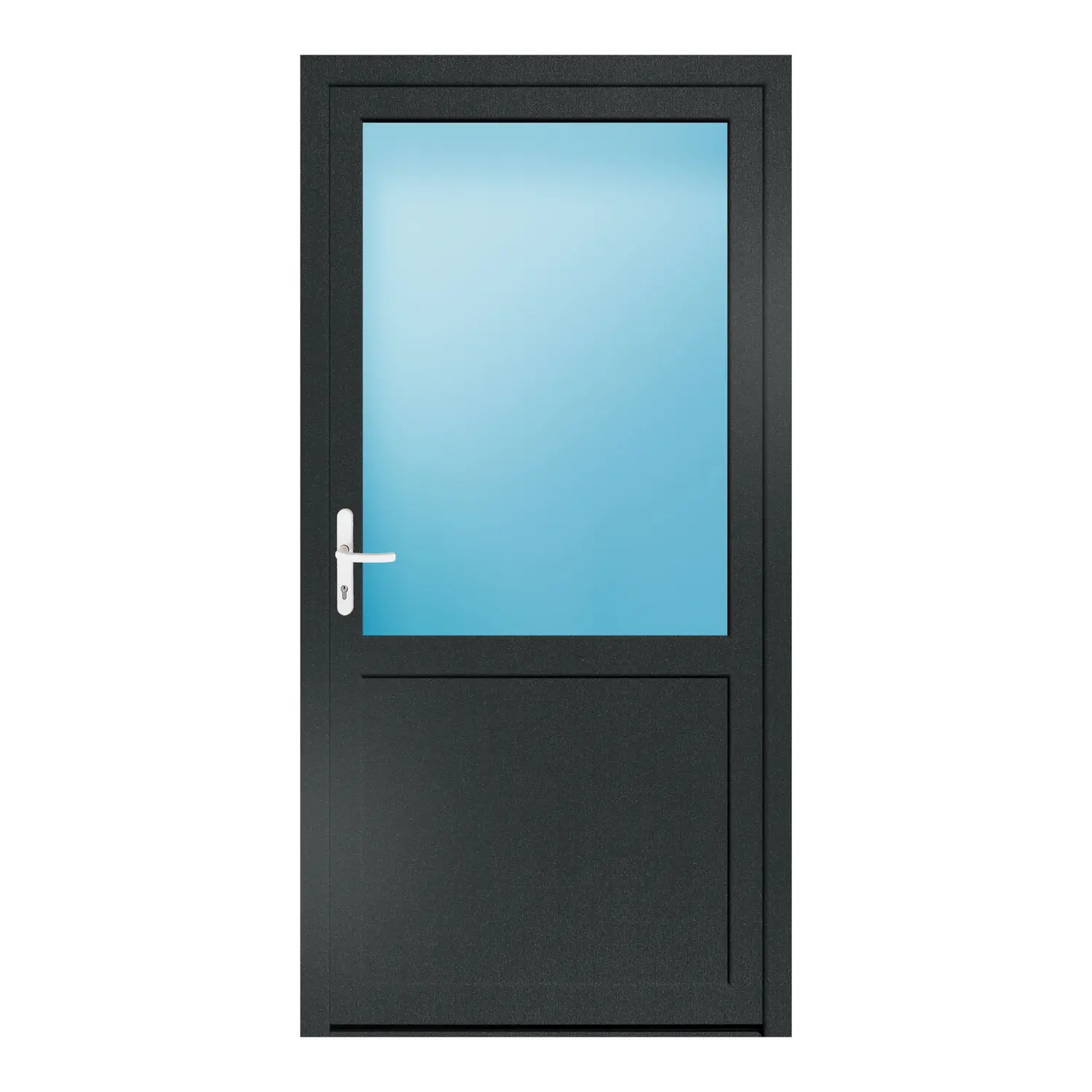 Nebeneingangstür 110x220 cm Anthrazitgrau genarbt 2/3 Glas