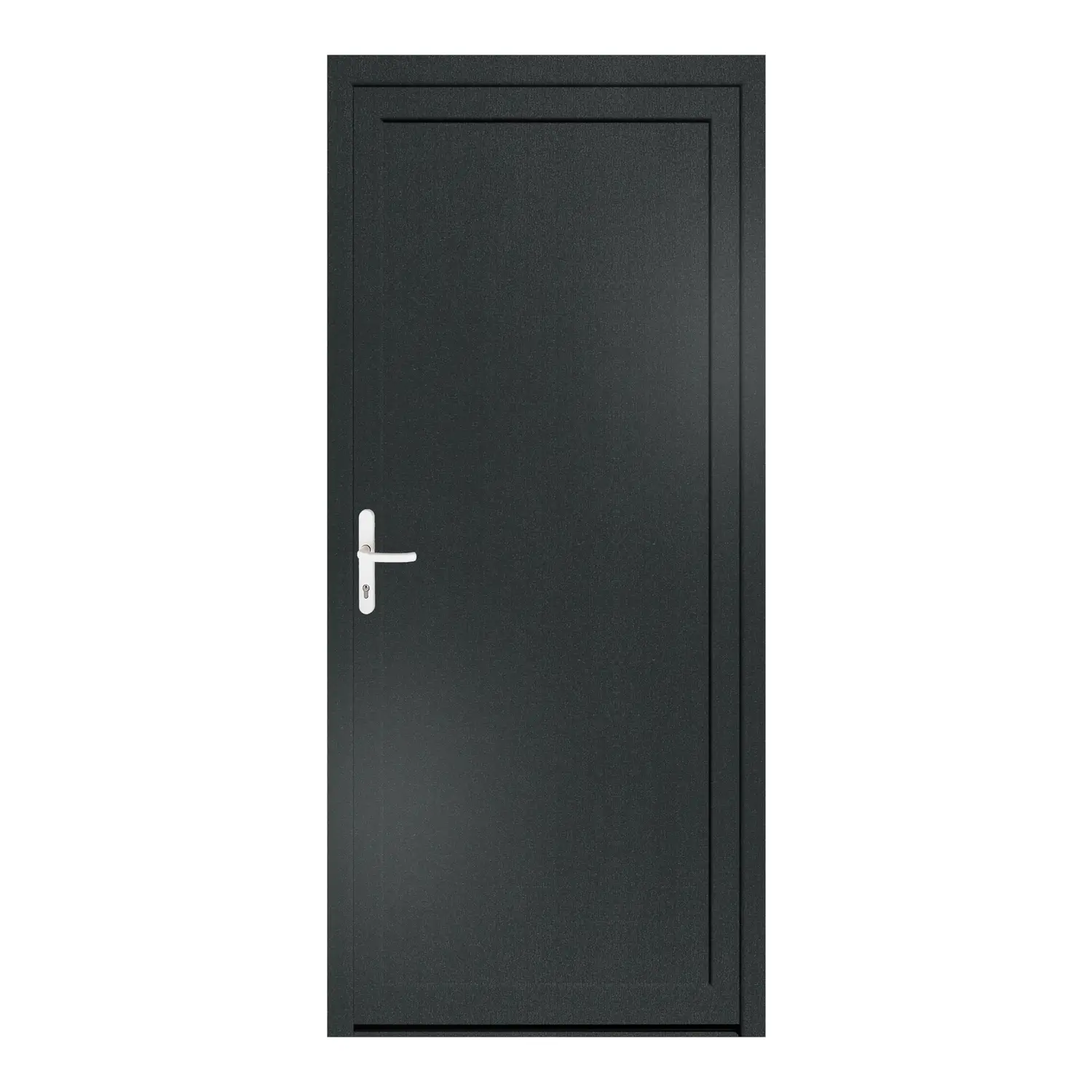 Nebeneingangstür 100x224 cm Anthrazitgrau genarbt MSVP