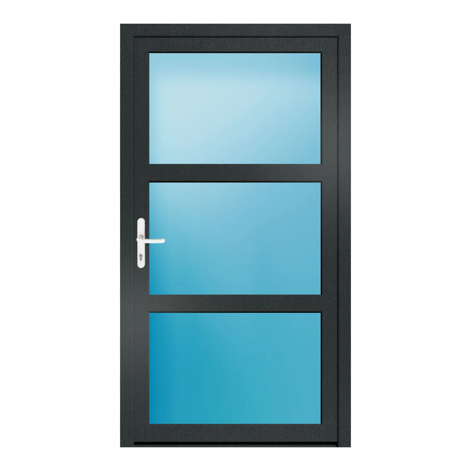 Nebeneingangstür 110x202 cm Anthrazitgrau genarbt 3-teilig Glas