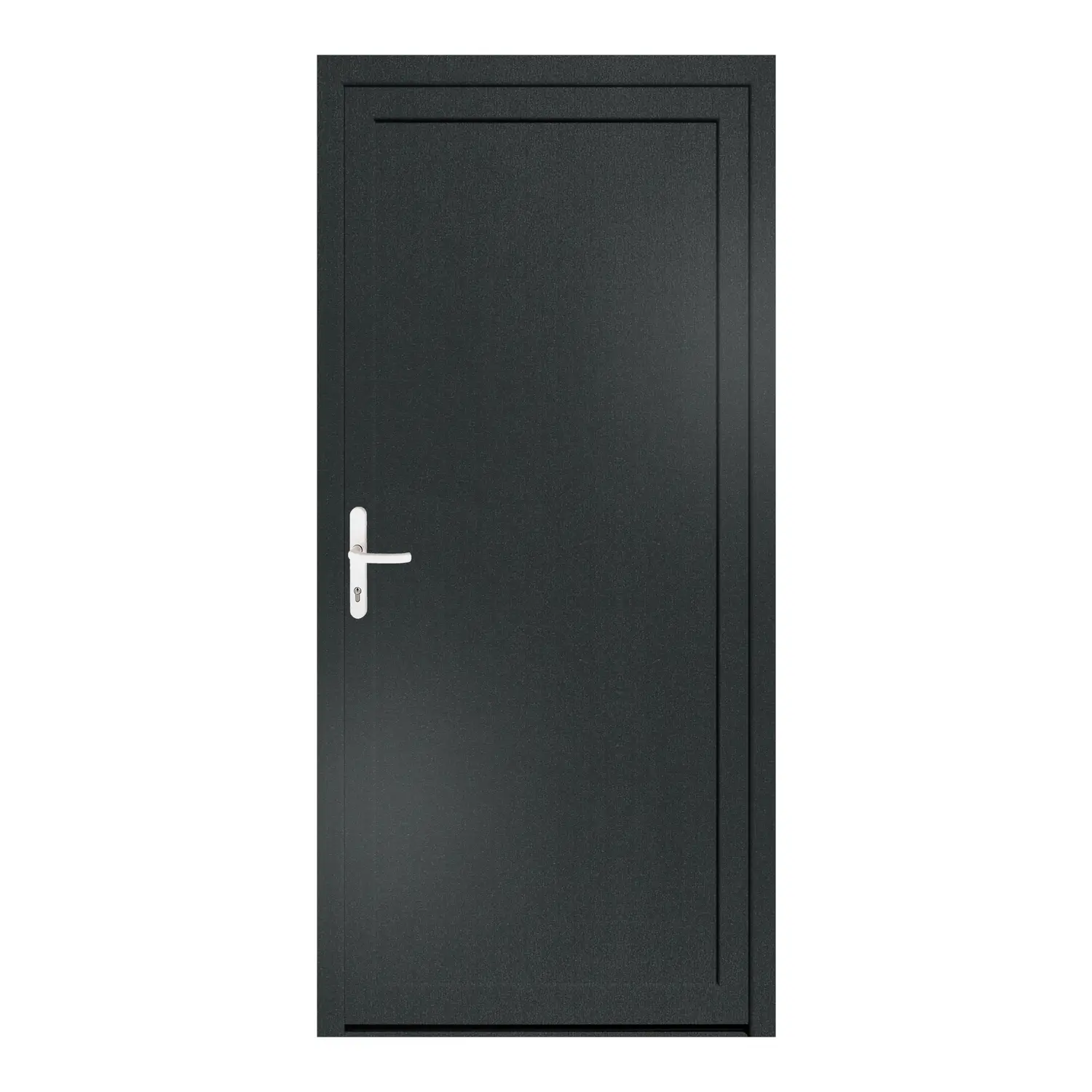 Nebeneingangstür 98x210 cm Anthrazitgrau genarbt MSVP