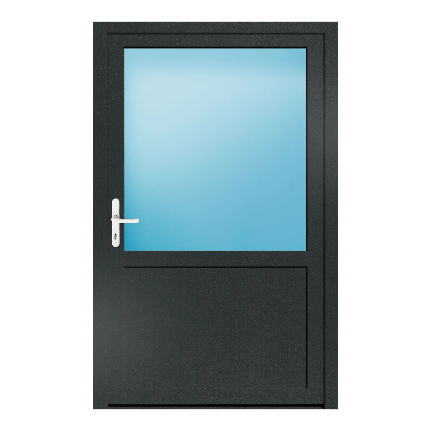 Nebeneingangstür 120x190 cm Anthrazitgrau genarbt 2/3 Glas