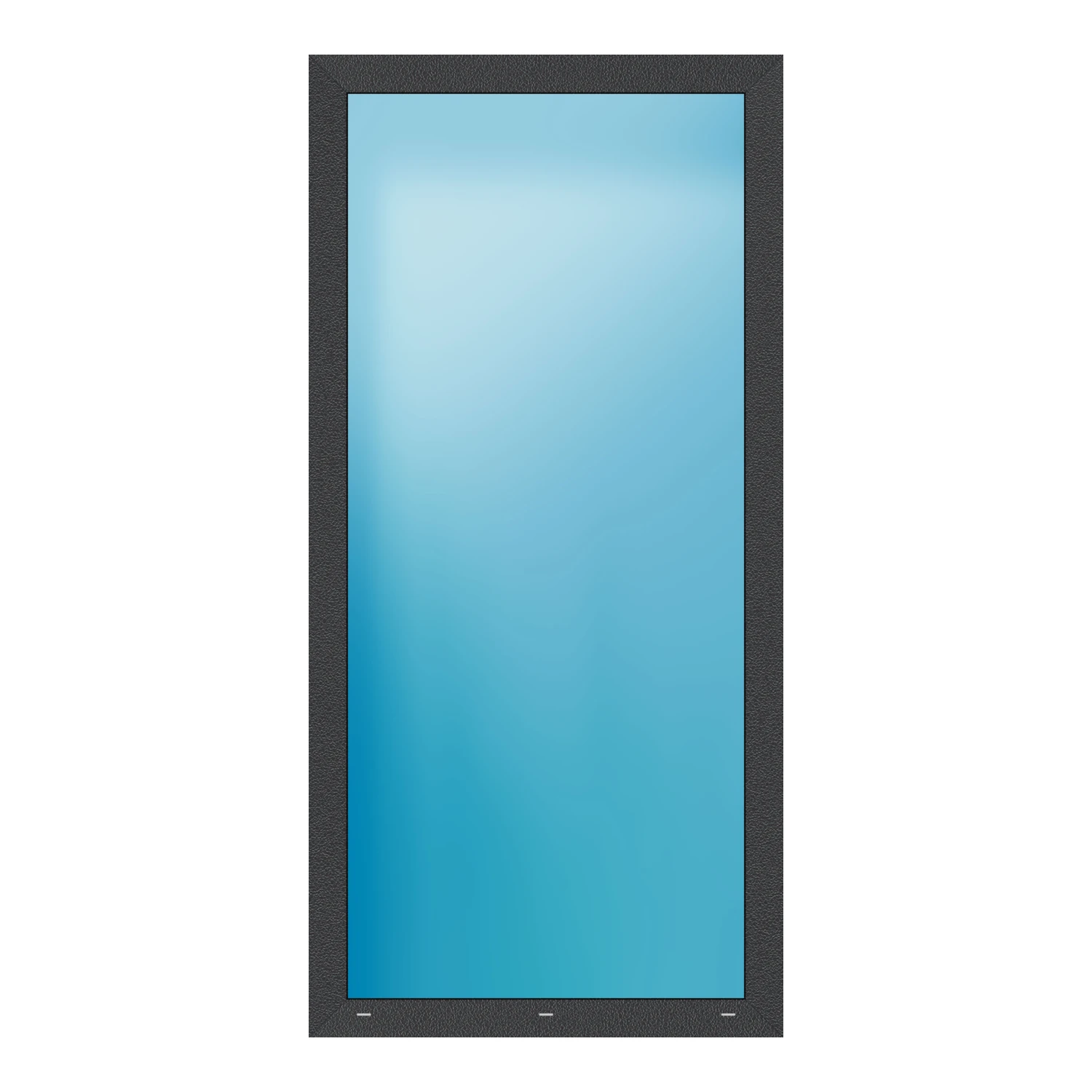 Festverglasung 99x205 cm Anthrazit Feinstruktur