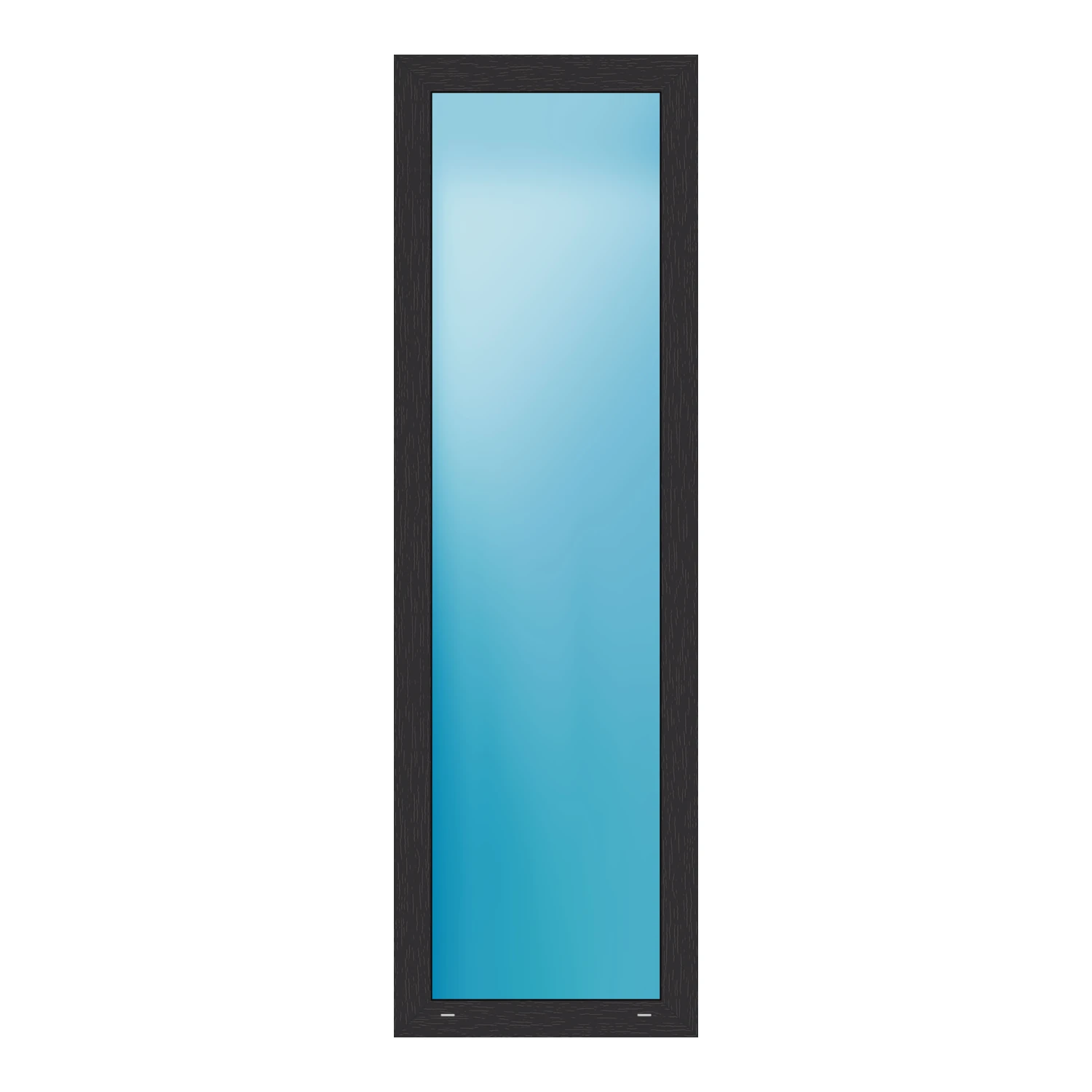 Festverglasung 65x210 cm Anthrazit genarbt