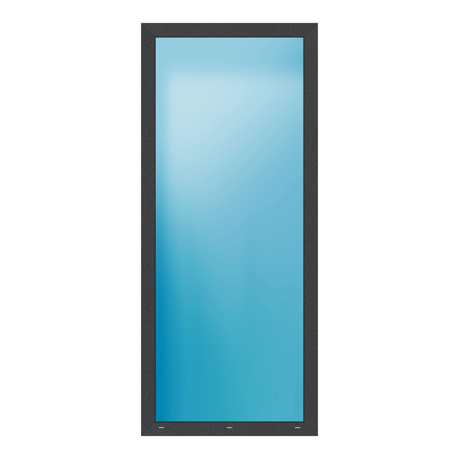 Festverglasung 100x233.5 cm Anthrazit Feinstruktur