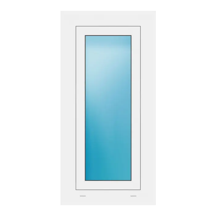 Fenster 49x100 cm Weiß