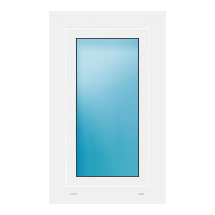 Fenster 54x89 cm Weiß