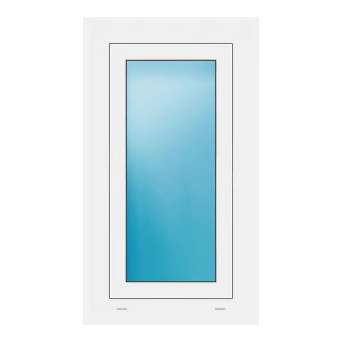 Fenster 52x91 cm Weiß