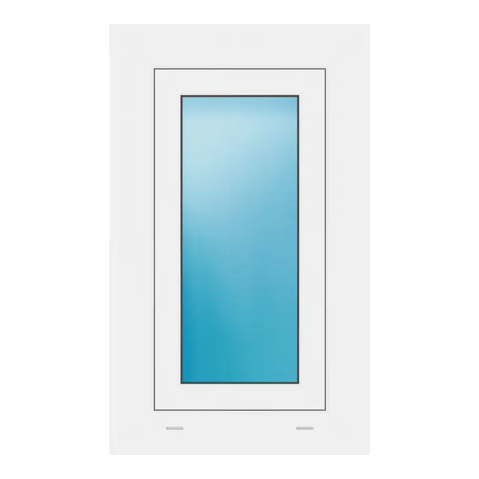 Fenster 46x76 cm Weiß