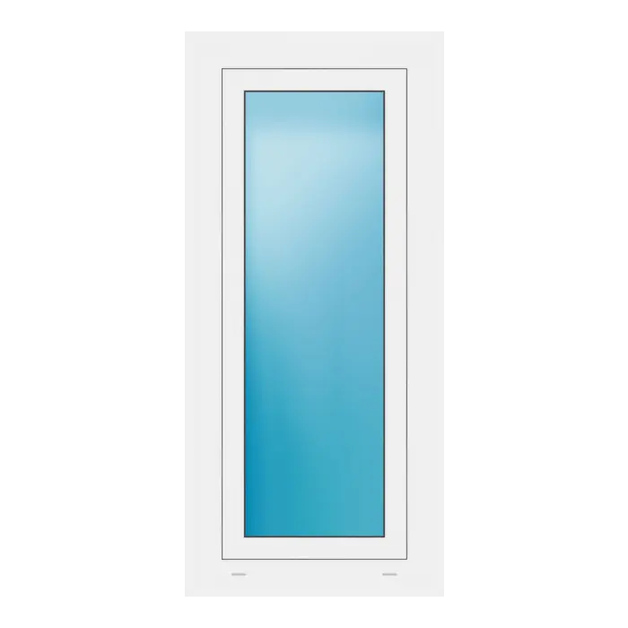 Fenster 55x120 cm Weiß