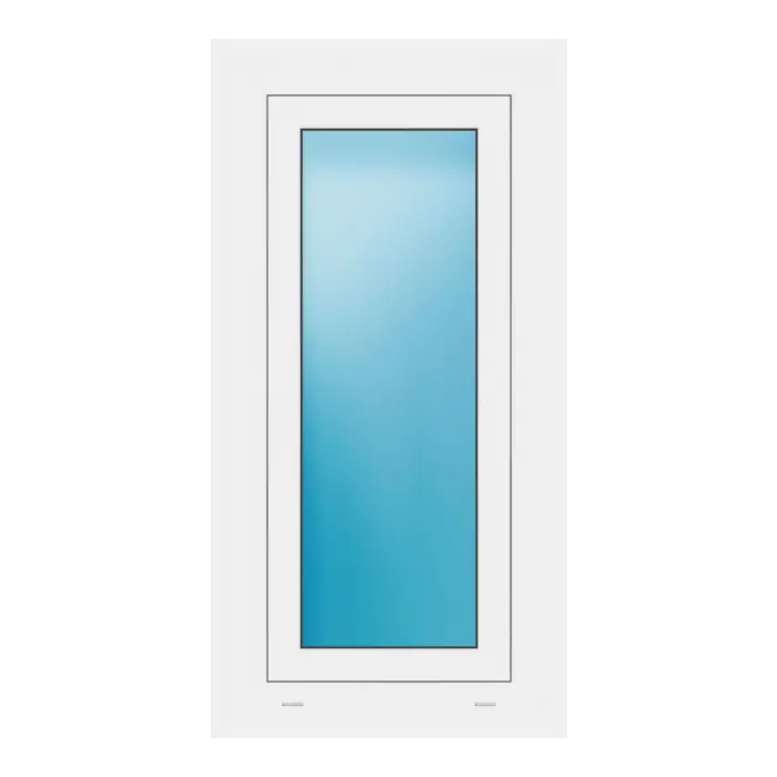 Fenster 50x98 cm Weiß