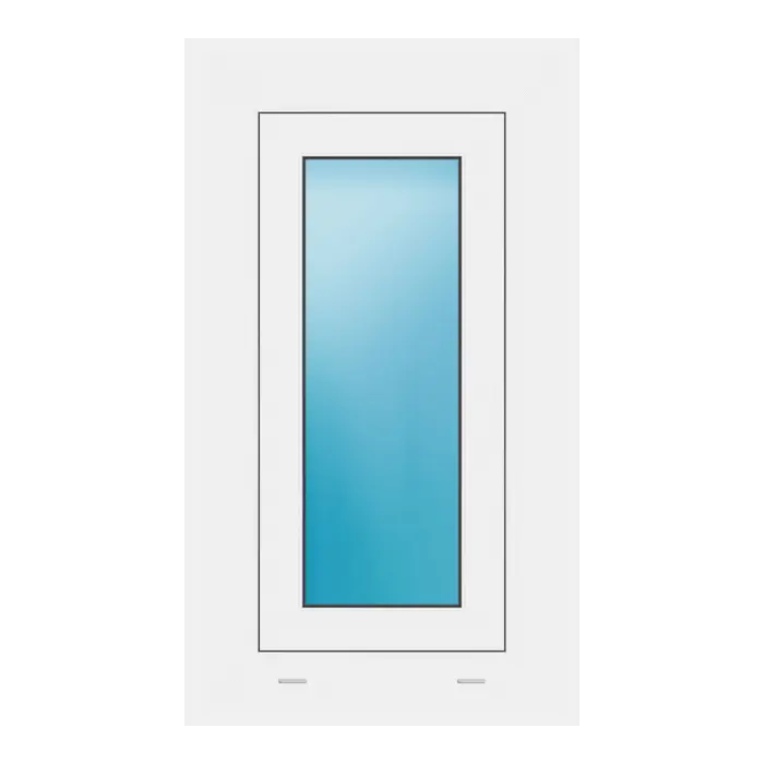 Fenster 42x73 cm Weiß