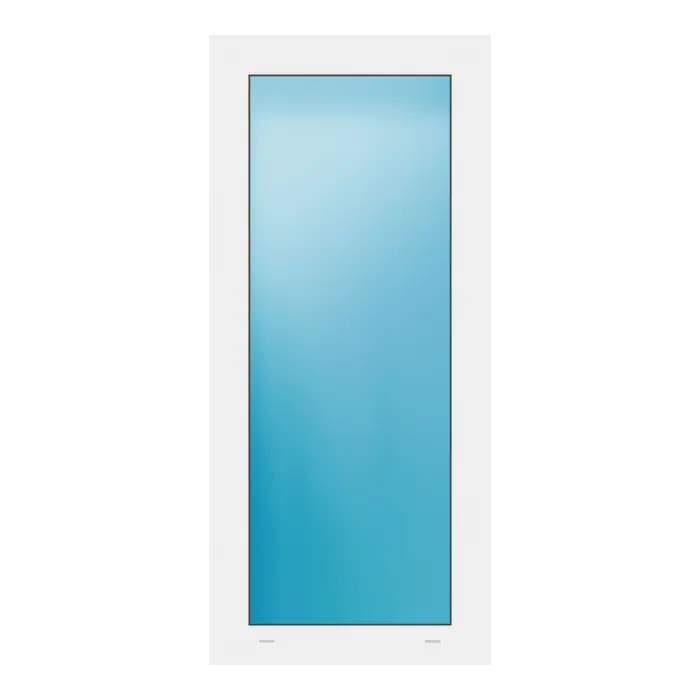 Festverglasung 56x125 cm Weiß