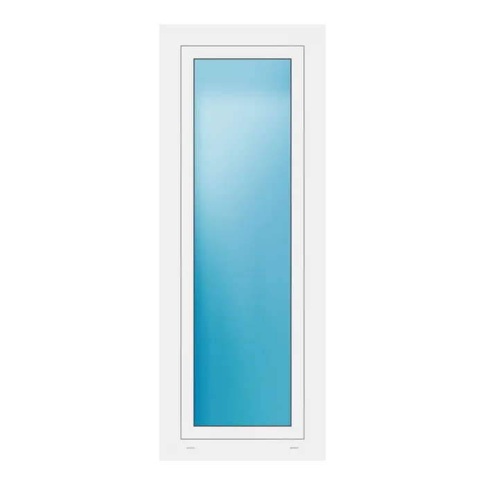 Fenster 61x160 cm Weiß