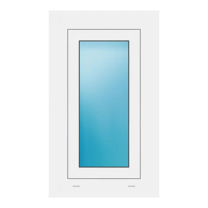 Fenster 46x78 cm Weiß