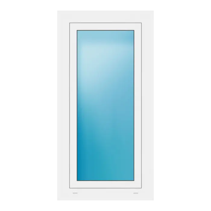 Fenster 62x122 cm Weiß