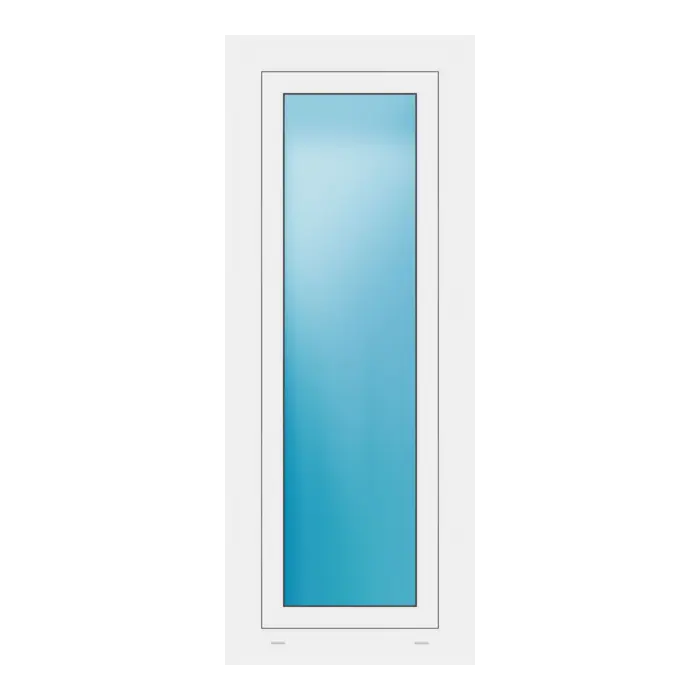 Fenster 54x136 cm Weiß