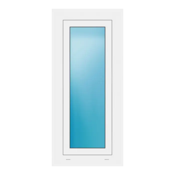 Fenster 50x110 cm Weiß