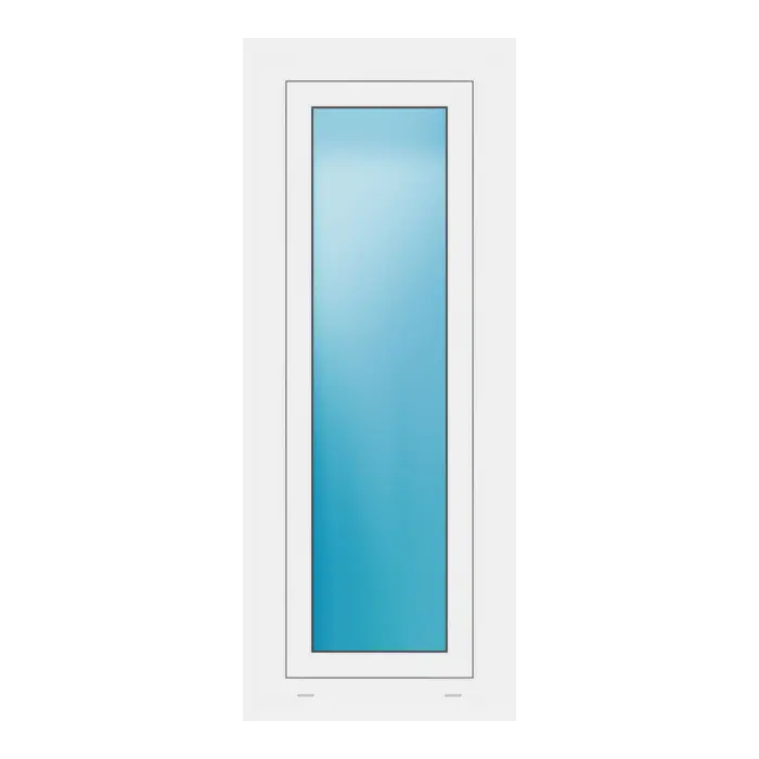 Fenster 50x125 cm Weiß