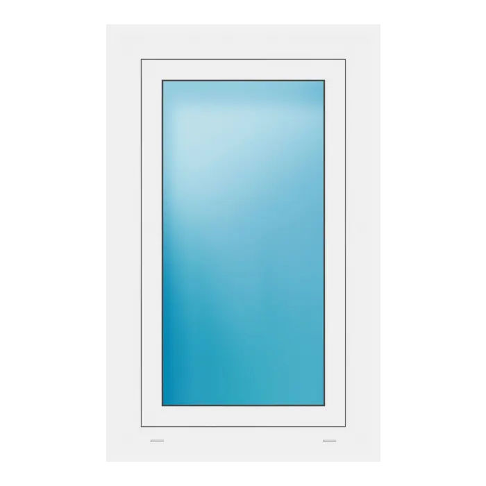 Fenster 62x99 cm Weiß